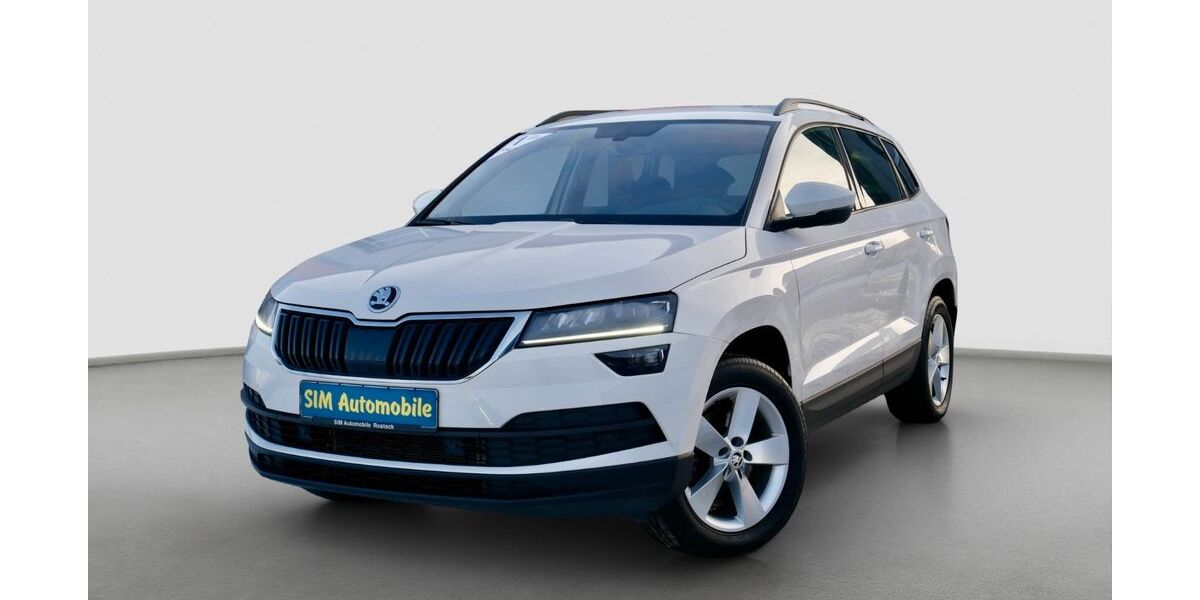 Skoda Karoq 125.000 km 20.390 &euro; Rostock 18146