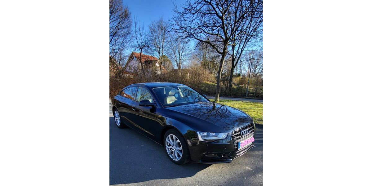 Audi A5 216.000 km 10.600 &euro; Schlangen 33189