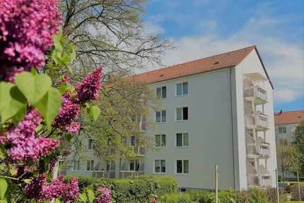 Wohnung Wurzen Altstadt - 2.5 Zimmer, 60 m&sup2;, 400&euro; | Angebot:27454867