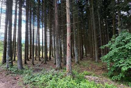 Grundstück Blankenheim - 15.000&euro; | Angebot:26838407