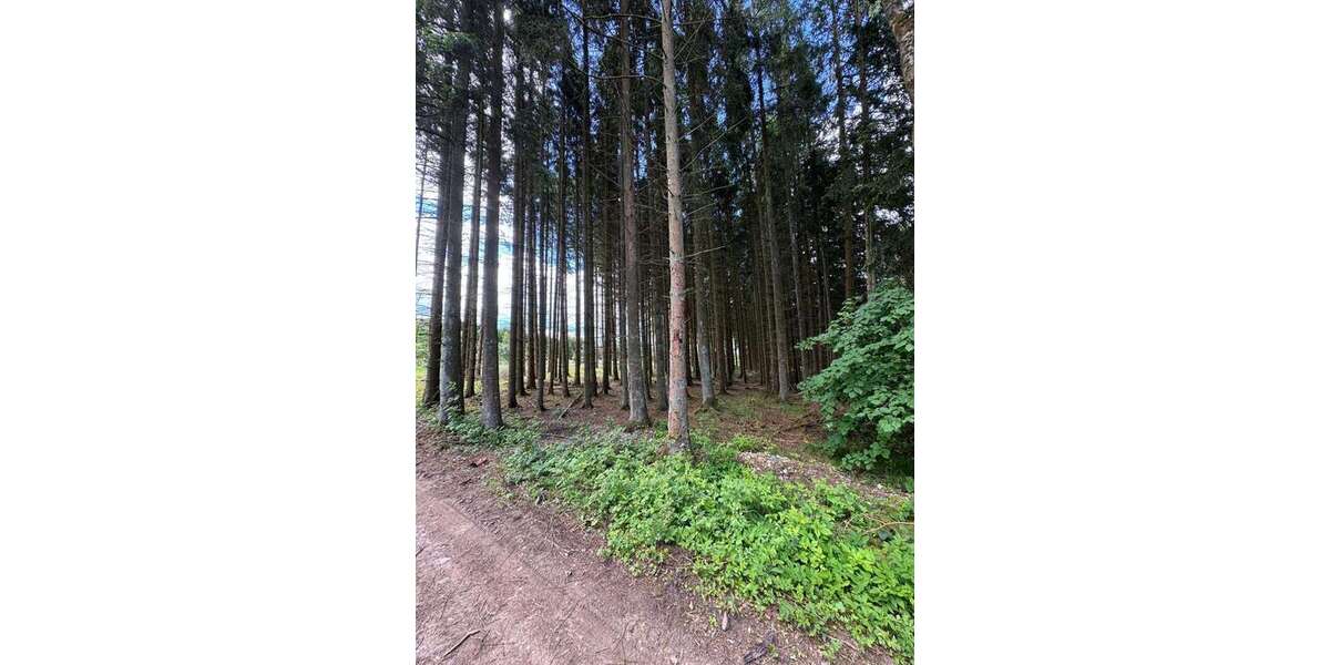 Grundstück Blankenheim - 15.000&euro; | Angebot:26838407