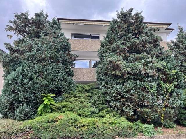 Wohnung zum Mieten in Offenbach am Main - Bieber 875 € 70 m² 2 zimmer