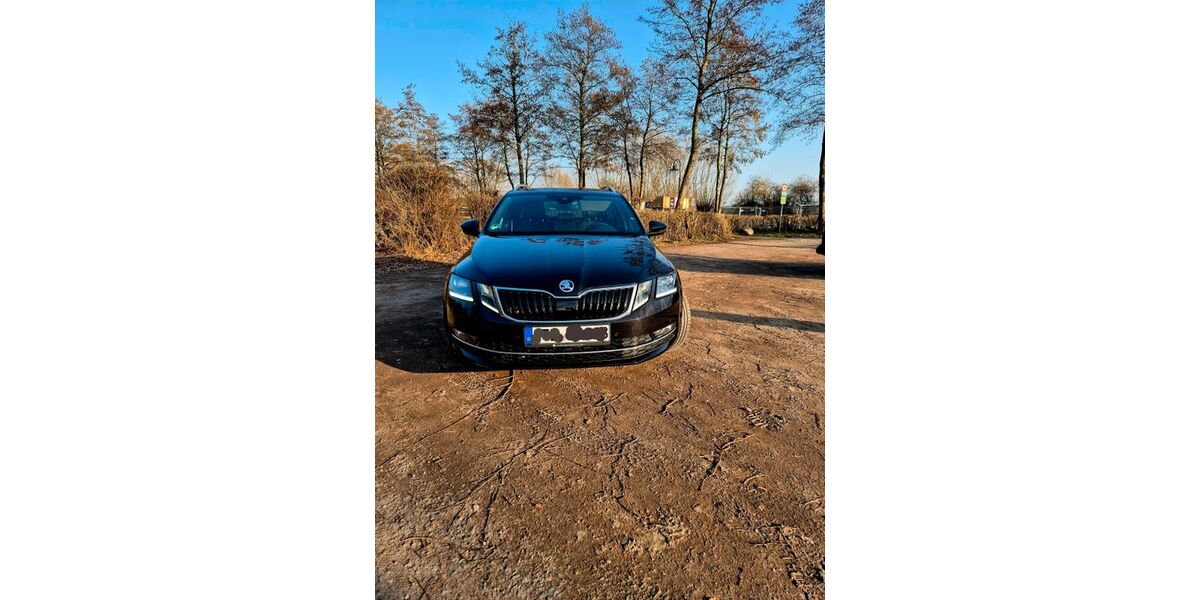 Skoda Octavia 196.020 km 13.900 &euro; Harsefeld 21698