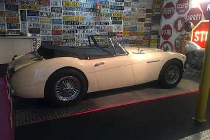 Austin Healey Andere