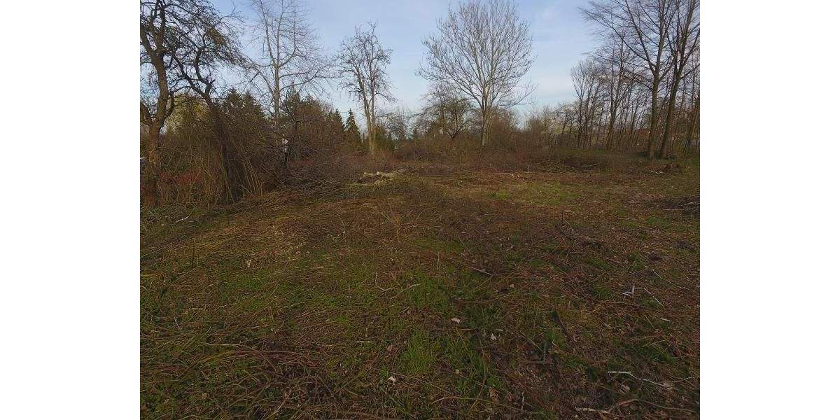 Grundstück Machern - 185.000&euro; | Angebot:24036204