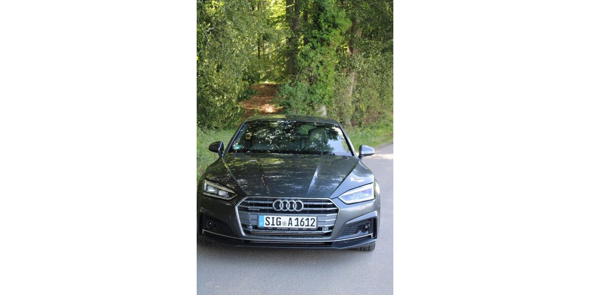 Audi A5 98.900 km 24.000 &euro; Bad Saulgau 88348
