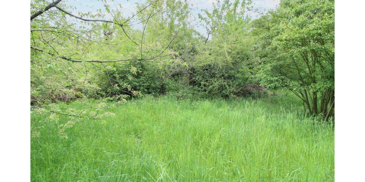 Einfamilienhaus Halle (Saale) Frohe Zukunft - 4 Zimmer, 275.000&euro; | Angebot:26882120
