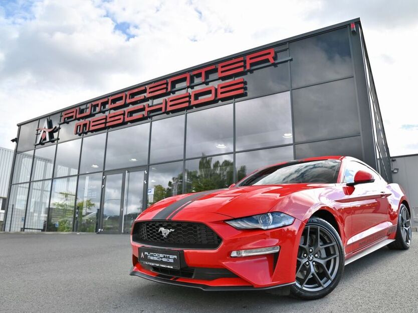 Mustang