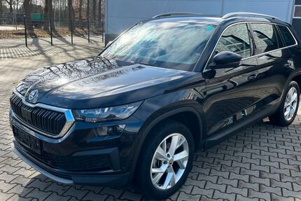 Skoda Kodiaq 210.700 km 19.000 &euro; Neuenhaus 49828