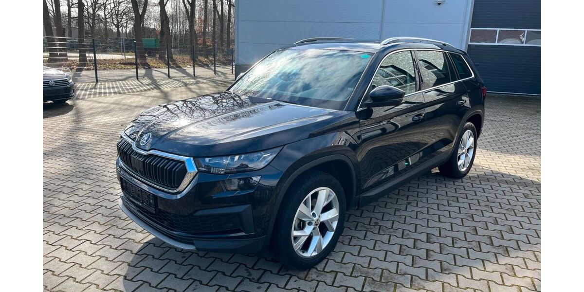 Skoda Kodiaq 210.700 km 19.000 &euro; Neuenhaus 49828