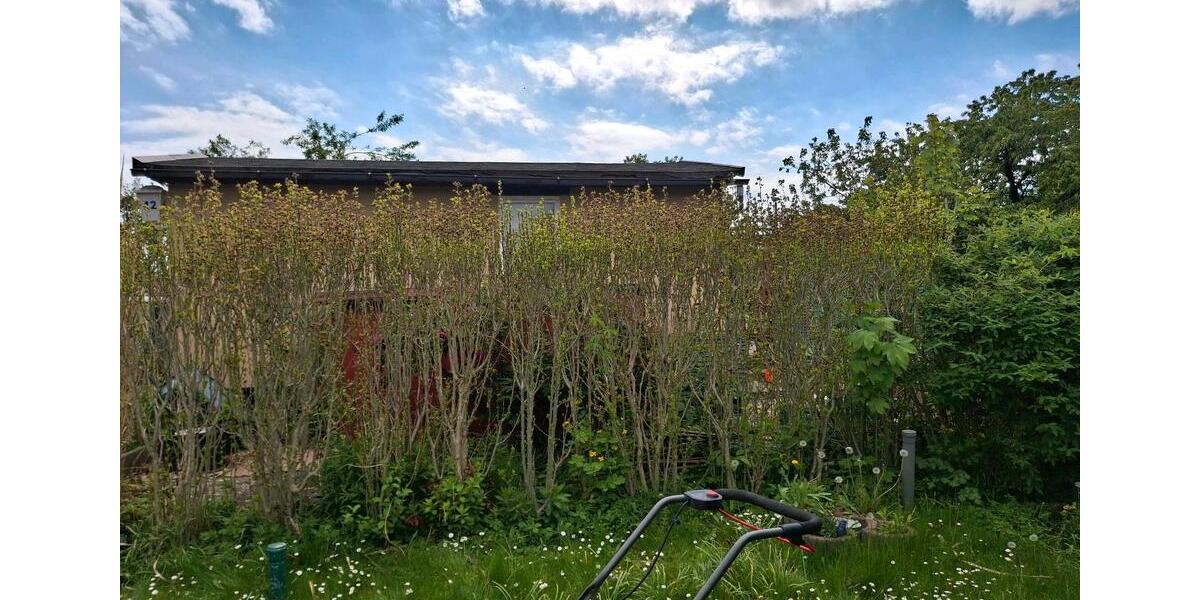 Grundstück Dresden Blasewitz - 3.900&euro; | Angebot:26694223