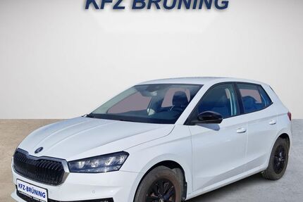 Skoda Fabia 23.036 km 15.680 &euro; Lingen (Ems) 49811