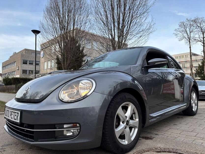 Beetle