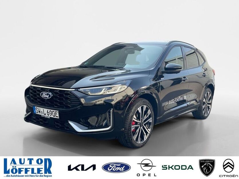 Kuga