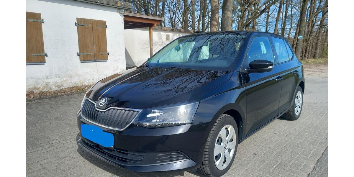 Skoda Fabia 82.000 km 9.900 &euro; Wittingen 29378