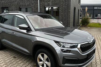 Skoda Kodiaq 219.300 km 19.040 &euro; Neuenhaus 49828