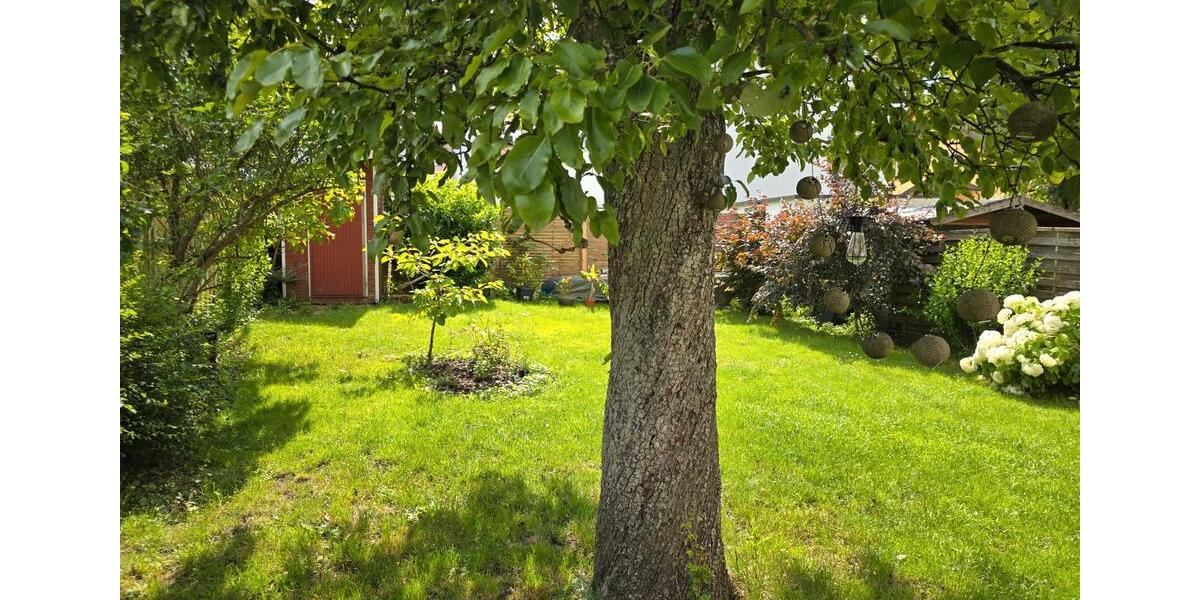 Doppelhaushälfte Osburg - 4 Zimmer, 90 m&sup2;, 295.000&euro; | Angebot:26957958