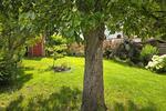 Doppelhaushälfte Osburg - 4 Zimmer, 90 m&sup2;, 295.000&euro; | Angebot:26957958