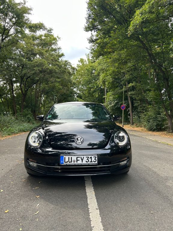 Beetle