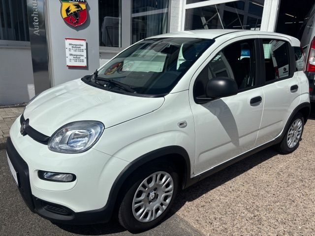 Fiat Panda 10.804 km 12.950 &euro; Bad Oldesloe 23843