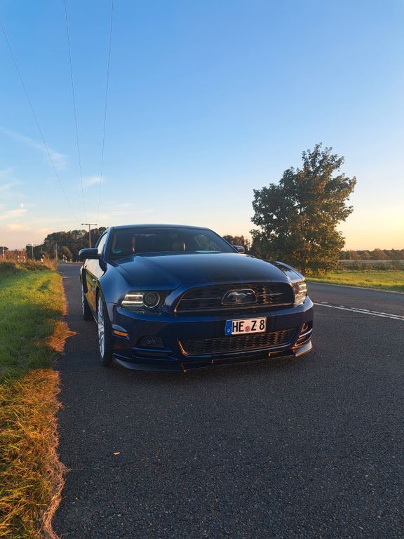 Mustang