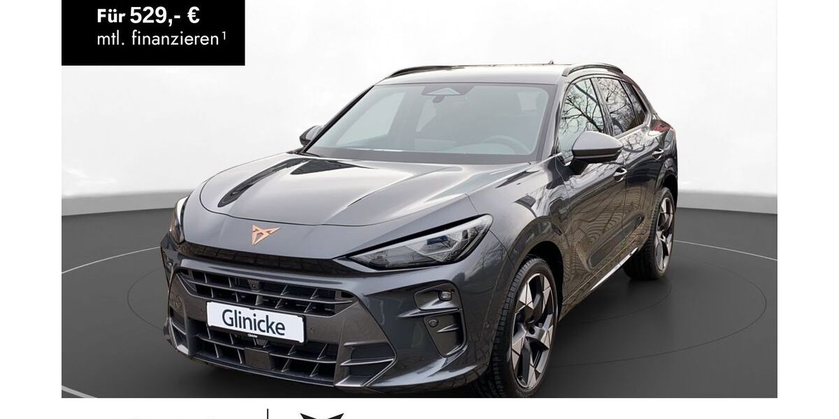 Cupra Terramar 11.219 km 40.480 &euro; Witzenhausen 37213
