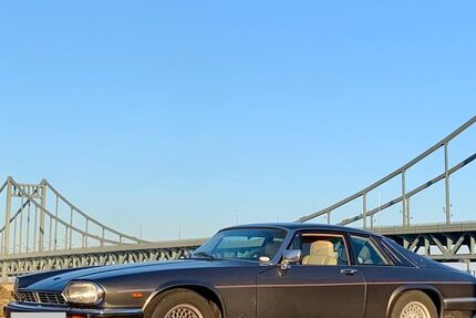 Jaguar XJS 122.000 km 22.900 € Krefeld 47800