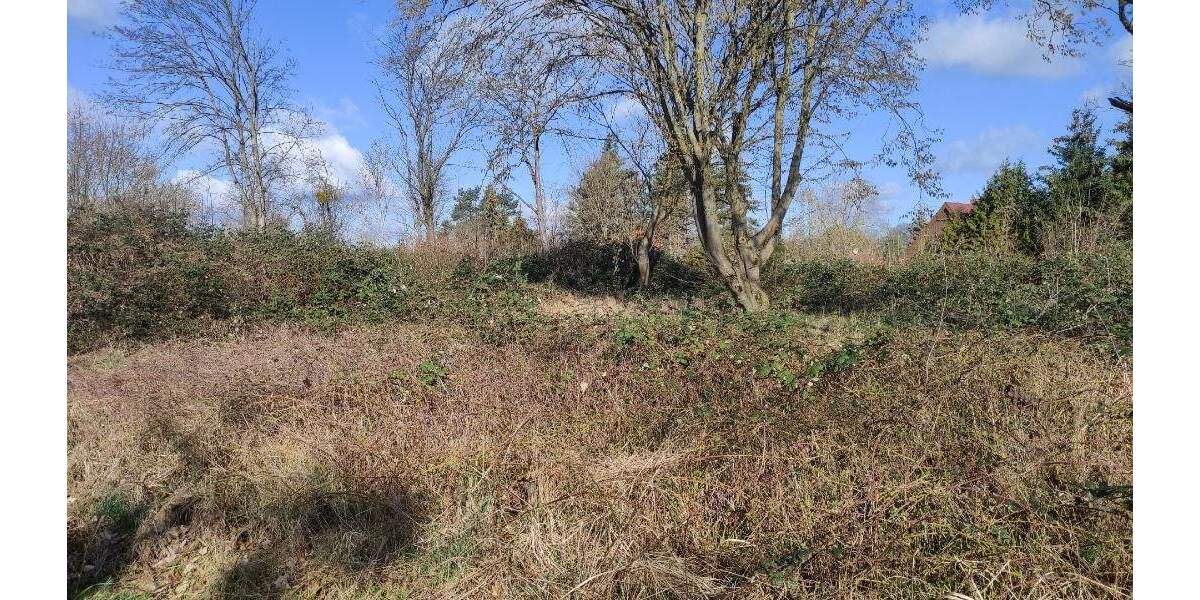 Grundstück Machern - 185.000&euro; | Angebot:24036204