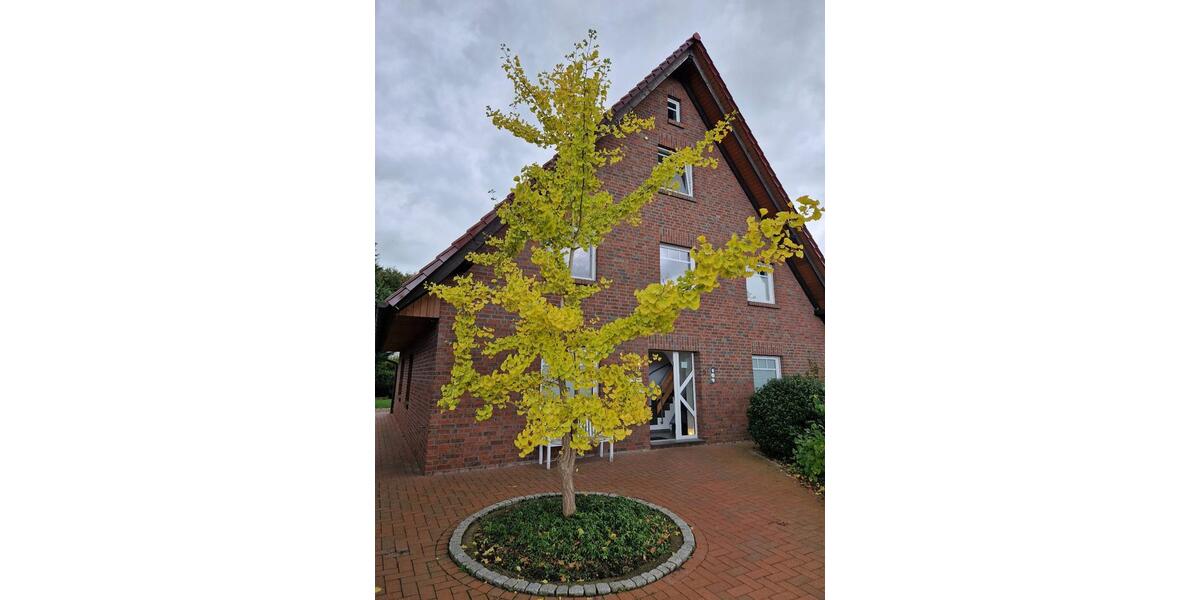 Etagenwohnung Lemförde - 7 Zimmer, 110 m&sup2;, 260.000&euro; | Angebot:27077474
