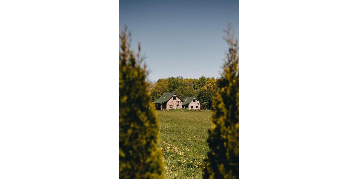 Ferienimmobilie Dresden Plauen - 100&euro; | Angebot:25964585