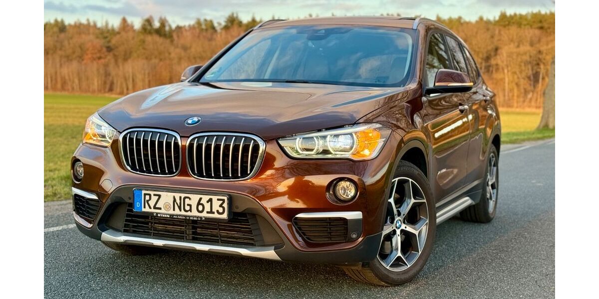 BMW X1 230.000 km 14.000 &euro; Hornbek 21514