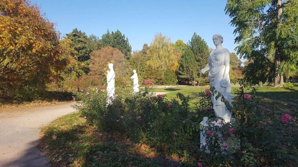 Gewerbeobjekt Zwickau Innenstadt - 398.000&euro; | Angebot:26277466