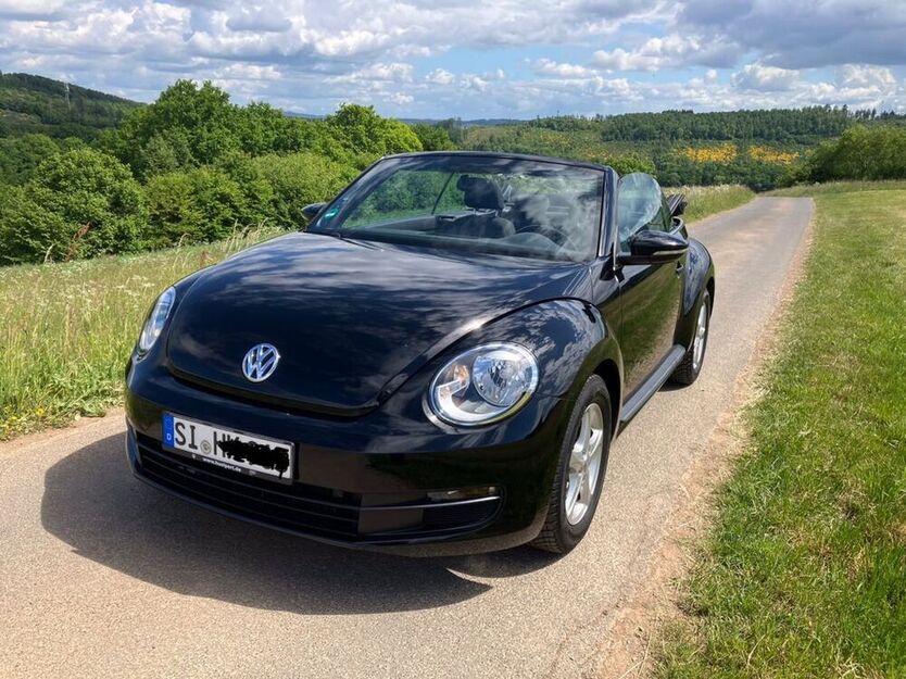 Beetle