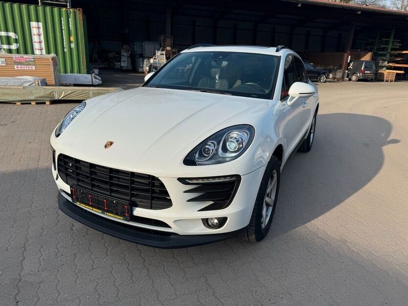 Macan