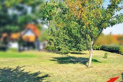 Ein Stück Garten im Innenbereich von Goslar-Weddingen provisionsfrei kaufen zimmer