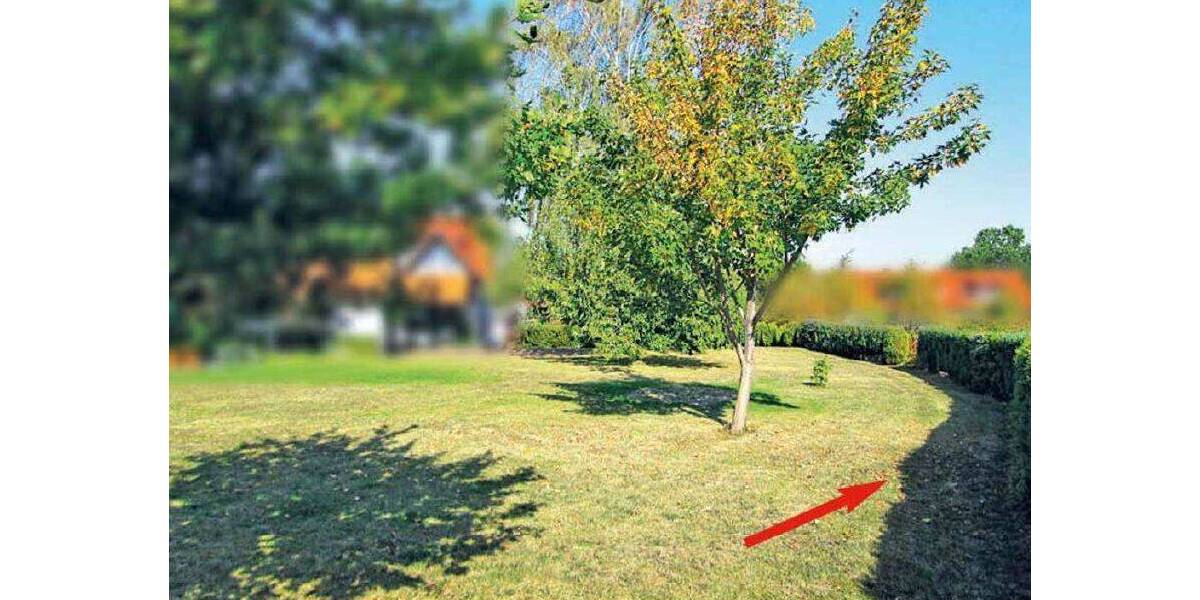 Ein Stück Garten im Innenbereich von Goslar-Weddingen provisionsfrei kaufen zimmer