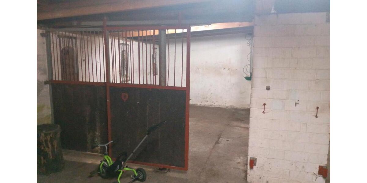 Haus zu vermieten Resthof Pferdehaltung möglich 1ha Weide 4 zimmer