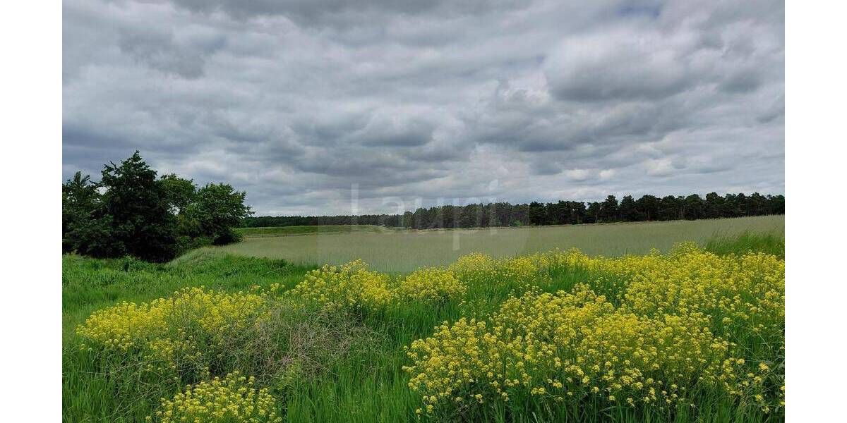 Grundstück Schorfheide Finowfurt - 85.000&euro; | Angebot:26879155