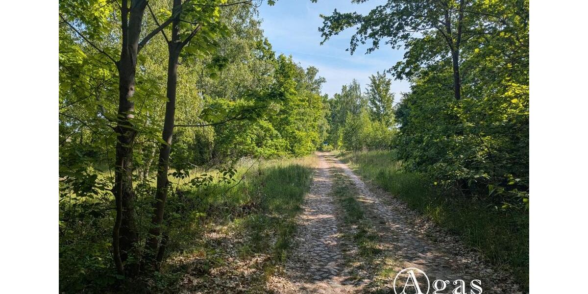 Gewerbeobjekt Brandenburg an der Havel - 1.000&euro; | Angebot:20866315
