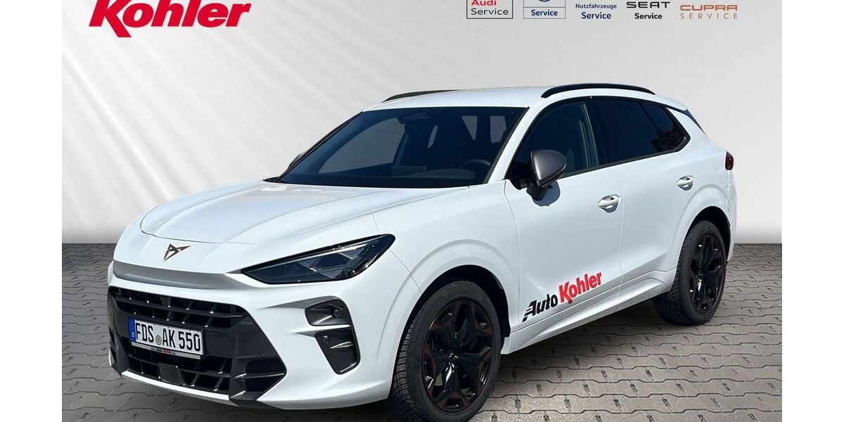 Cupra Terramar 3.500 km 40.590 &euro; Pfalzgrafenweiler 72285