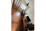 Erdgeschoßwohnung Weener - 4 Zimmer, 82 m&sup2;, 219.000&euro; | Angebot:27197555