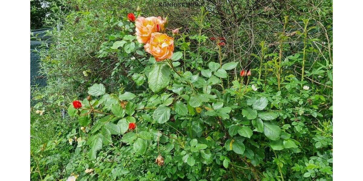 Grundstück Ostfildern Kemnat - 245.000&euro; | Angebot:22997144