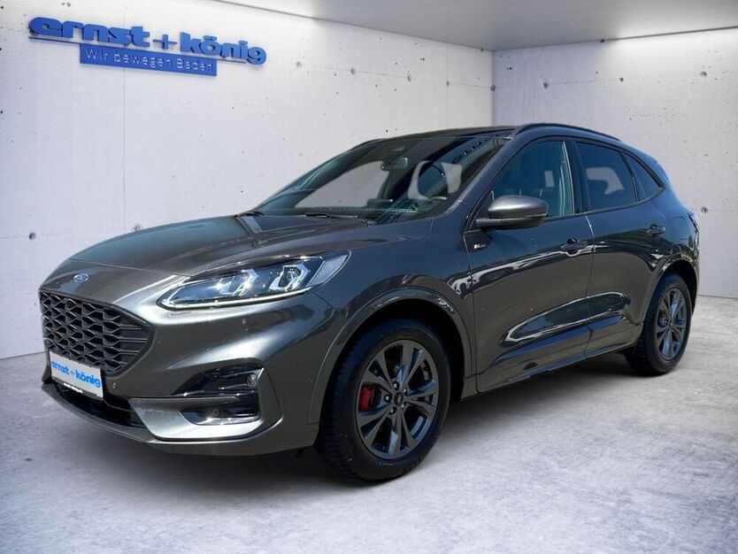Kuga