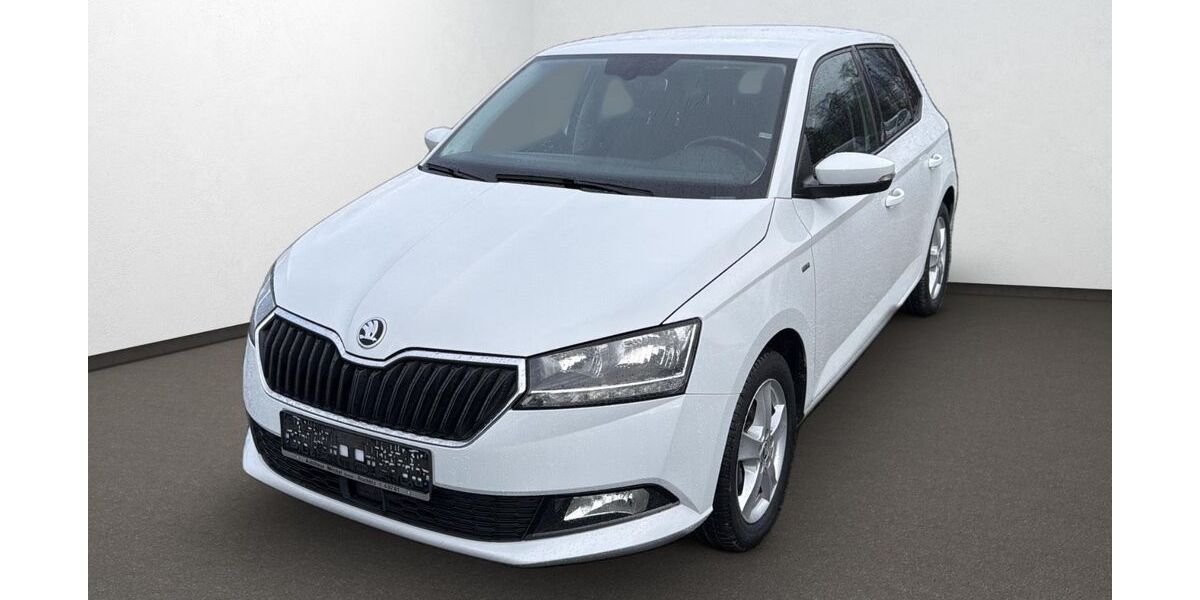 Skoda Fabia 96.840 km 9.999 € Hermsdorf/Schleifreisen 07629