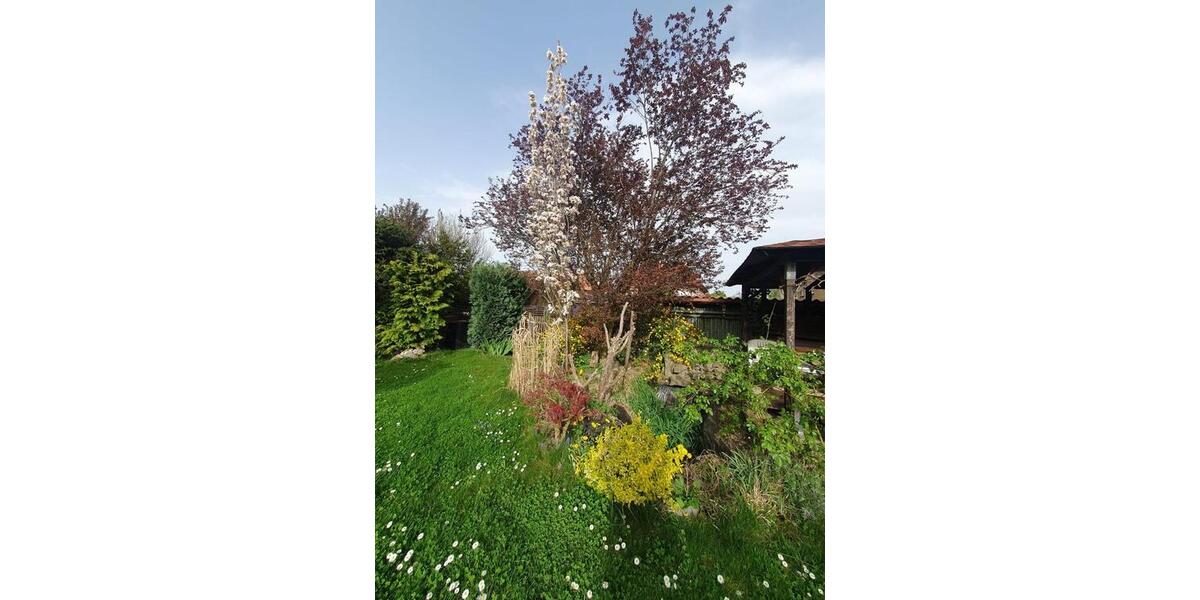 Doppelhaushälfte Mühlhausen (Thüringen) - 4 Zimmer, 90 m&sup2;, 269.000&euro; | Angebot:27022418