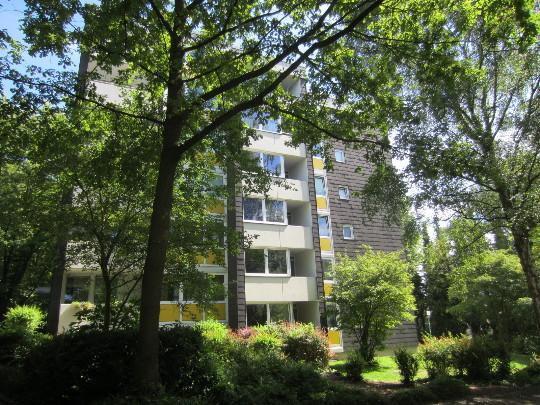 Schöne Wohnung: praktische 2-Zimmer-Wohnung zimmer