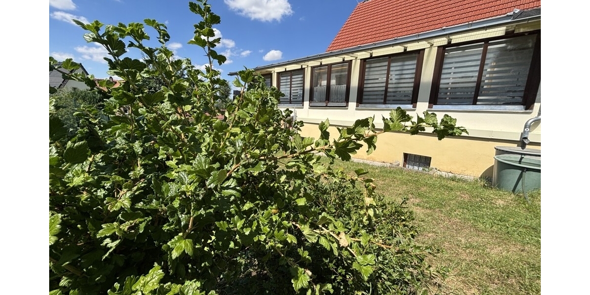 Großzügiges und idyllisch gelegenes Wohlfühlzuhause mit Wintergarten und großem Grundstück - Einfamilienhaus Klipphausen | Angebot:26990002