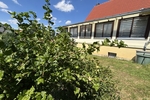 Großzügiges und idyllisch gelegenes Wohlfühlzuhause mit Wintergarten und großem Grundstück - Einfamilienhaus Klipphausen | Angebot:26990002