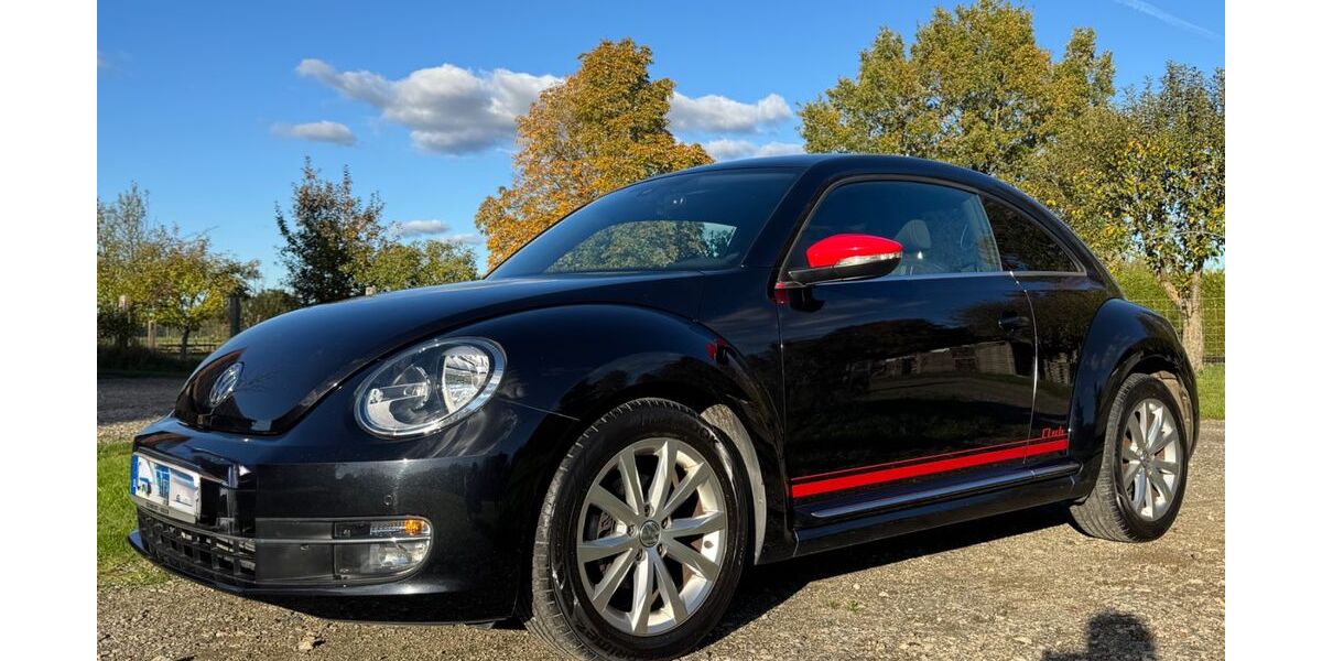 VW Beetle 57.500 km 11.989 € Adenbüttel 38528