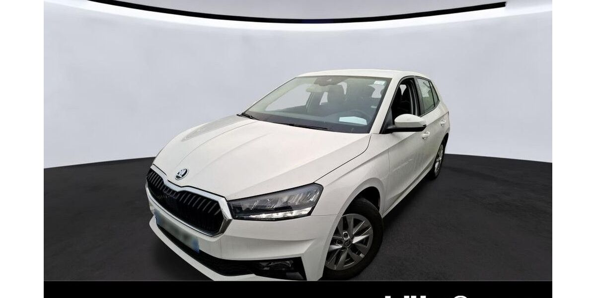 Skoda Fabia 50.053 km 15.480 &euro; Trier 54292